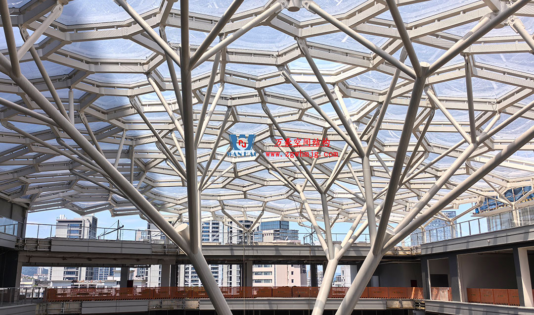 1762498942192920.jpg 2a.jpg